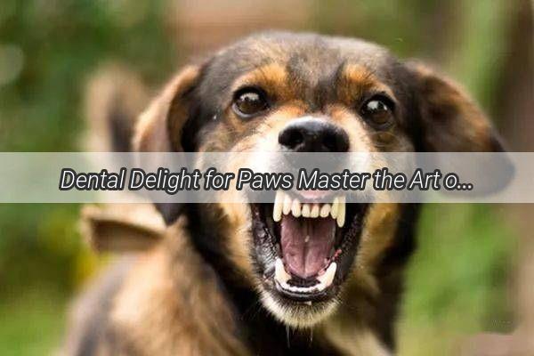 Dental Delight for Paws Master the Art of Doggy Brushing with Our Expert Audio Guide